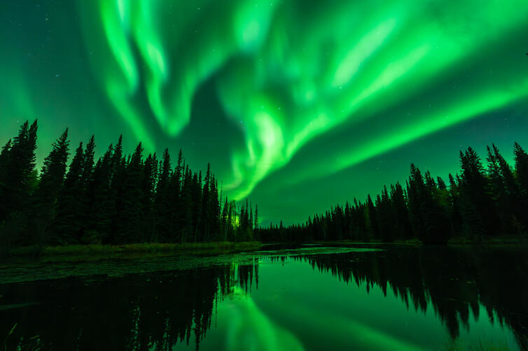 Alaska Aurora