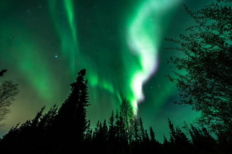 Aurora Blitz